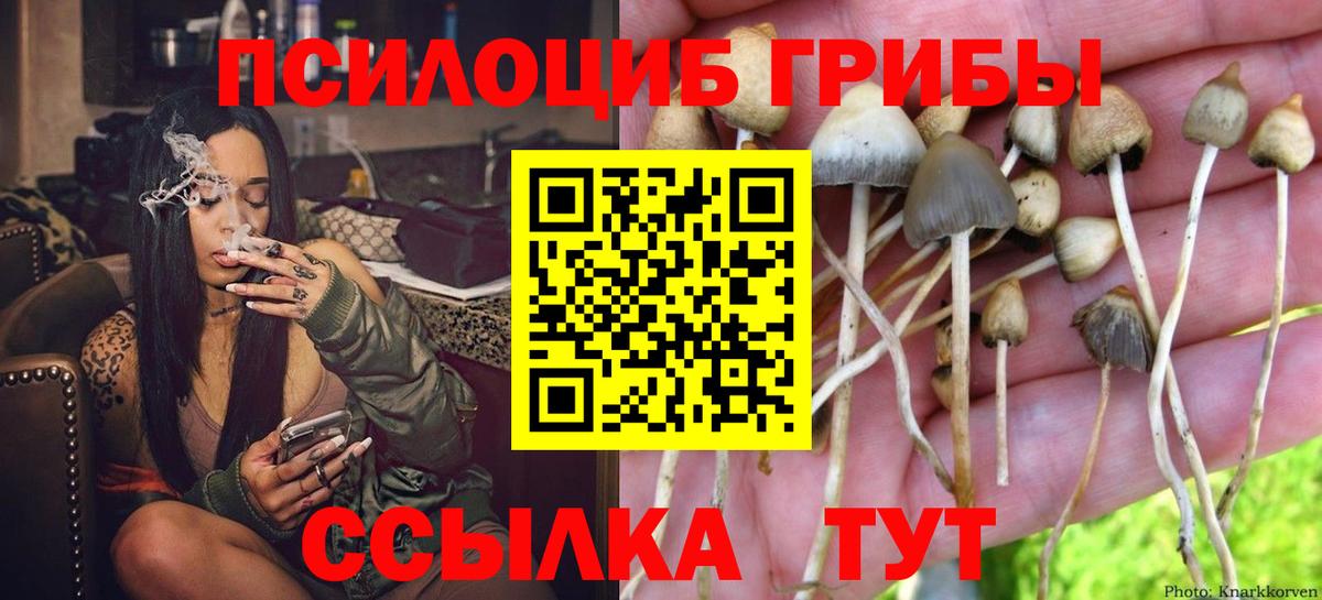 Лянтор  Галлюциногенные грибы Psilocybe  Вход с VPN 